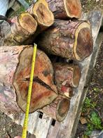 Taxus stammen, Minder dan 3 m³, Ophalen