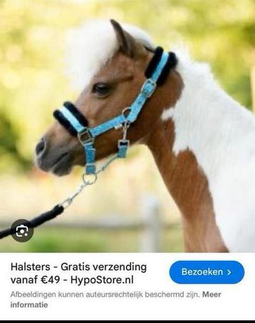 Paarden Halster (echt) leren riemen met sierband beschikbaar voor biedingen
