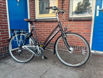 Nette gazelle fuente custom beschikbaar voor biedingen