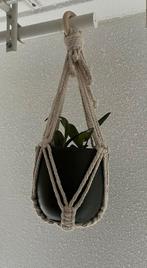 Macrame planthanger, Ophalen of Verzenden, Nieuw