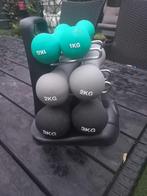 Dumbbell Set - 1kg, 2kg, 3kg, Ophalen of Verzenden, Gebruikt, Rug, Dumbbell