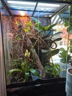 Exo terra terrarium 60X45X90 met onderkast!