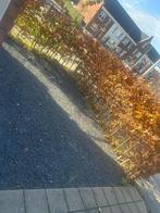 Ardenne split gratis, Tuin en Terras, Grind, Keien en Split, Ophalen of Verzenden, Zo goed als nieuw, Basalt, Split