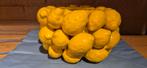 Citroenvaas van des Pots, Huis en Inrichting, Woonaccessoires | Vazen, Verzenden, Zo goed als nieuw, Aardewerk of Porselein, Minder dan 50 cm