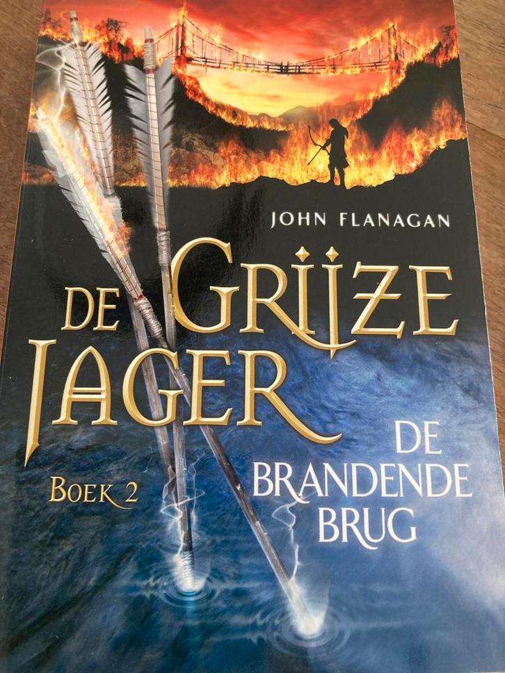 De Grijze Jager - De Brandende Brug (Boek 2), Boeken, Fantasy, Zo goed als nieuw, Ophalen of Verzenden