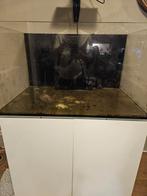 Aqua Medic armatus 375xd, Dieren en Toebehoren, Vissen | Aquaria en Toebehoren, Ophalen, Zo goed als nieuw