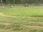 Grote ronde balen droog hooi, Dieren en Toebehoren, Dierenvoeding, Ophalen, Vee