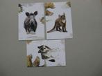 3 Dierenansichtkaarten kaarten Leuvenumse bossen Ongelopen, Verzenden, 1940 tot 1960, Ongelopen