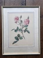 Oude lijst met roos, 40,5x32, Ophalen of Verzenden