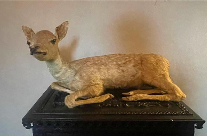 Opgezette jonge ree - Antiek Decoratie, Antiek en Kunst, Antiek | Overige Antiek, Ophalen of Verzenden