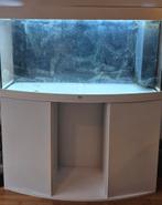 Juwel vision 260 led witte uitvoering., Dieren en Toebehoren, Vissen | Aquaria en Toebehoren, Ophalen, Leeg aquarium