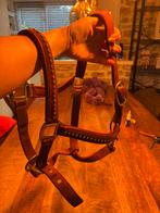 Paarden spullen, Dieren en Toebehoren, Ophalen of Verzenden, Overige soorten