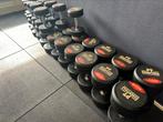 Dumbbell set 2 tot 40 kilo, Ophalen, Zo goed als nieuw, Dumbbell