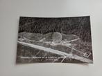 Foto ansichtkaart Dwingeloo, Radiotelescoop., Ophalen of Verzenden, 1960 tot 1980, Ongelopen, Drenthe