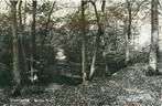 (701-011-013) Bergen NH Droomlaantje, Verzenden, Noord-Holland
