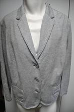 R20R Erfo jasje Grijs maat 48, Ophalen of Verzenden, Zo goed als nieuw, Maat 46/48 (XL) of groter, Grijs