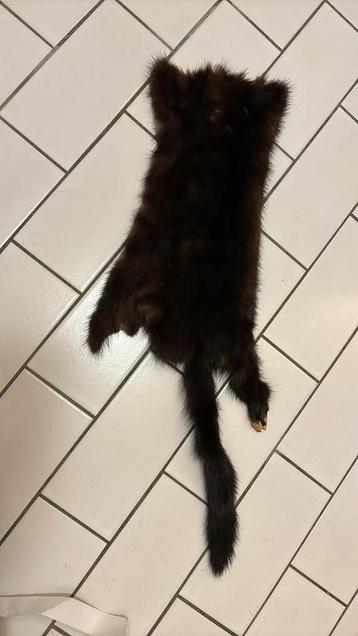 Nerts vachtje 65 cm incl staart plus minus 20 cm breed beschikbaar voor biedingen