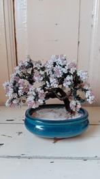 Bonsai Kralenboompje, Verzenden, Zo goed als nieuw