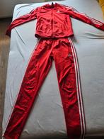 Adidas trainingspak rood maat xs, Adidas, Overige typen, Ophalen of Verzenden, Maat 34 (XS) of kleiner