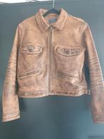 Ralph lauren leren jas maat M, Maat 38/40 (M), Bruin, Nieuw, Ophalen of Verzenden