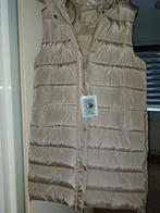 Mooie bodywarmer - perfect voor het tussenseizoen!, Ophalen of Verzenden, Zo goed als nieuw, Beige