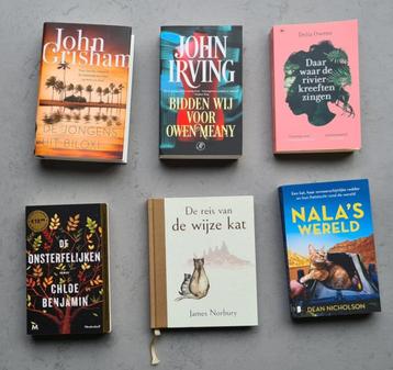 Boeken NIEUW Grisham, Irving, Owens, Benjamin, Norbury e.a. beschikbaar voor biedingen