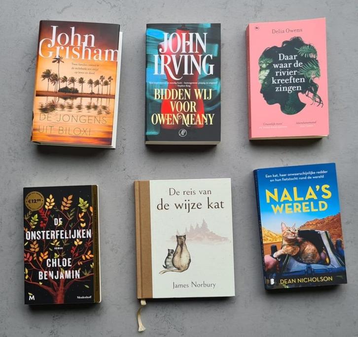 Boeken NIEUW Grisham, Irving, Owens, Benjamin, Norbury e.a., Boeken, Literatuur, Nieuw, Nederland, Ophalen