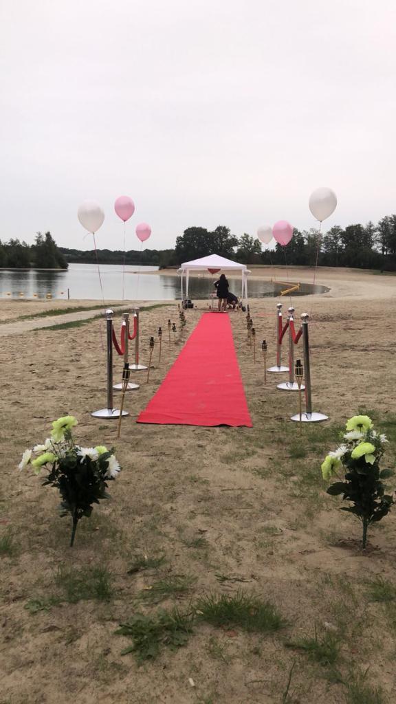 Te huur rode loper met paaltjes 25,00 GOEDKOOP, Hobby en Vrije tijd, Feestartikelen | Verhuur, Zo goed als nieuw, Overige, Ophalen