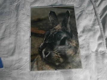 Lijst van glas / glazen wissellijst maat 20 x 28 cm foto beschikbaar voor biedingen