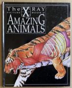 Xray picture Amazing Animals; rontgen dierenboek; 0749610158, Boeken, Dieren en Huisdieren, Ophalen of Verzenden, Zo goed als nieuw