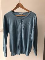 AnniRolfi Kruidvat vest blauw xl xxl 42 44, AnniRolfi, Maat 42/44 (L), Zo goed als nieuw, Verzenden