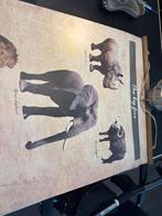 The big five, Ophalen of Verzenden, Zo goed als nieuw