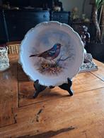 Royal Albert - wandbord vogel, Ophalen of Verzenden