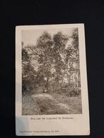 Oude briefkaart Lutterzand bij Denekamp, Ophalen of Verzenden