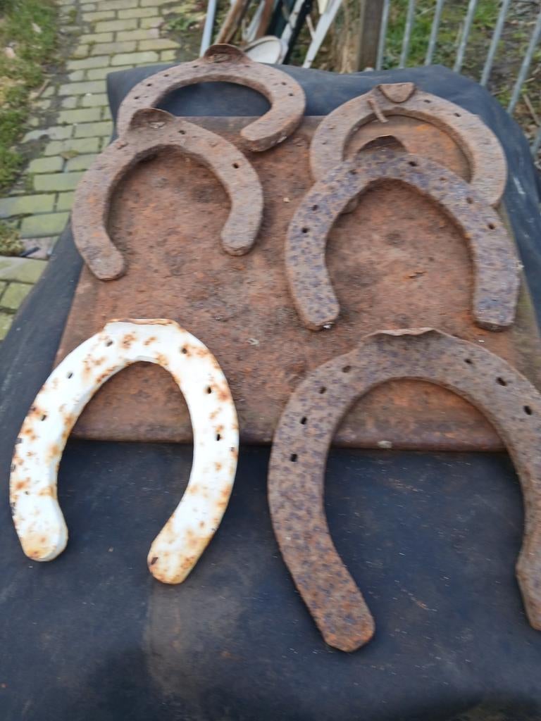 hoefijzer, 0 tot 2 jaar