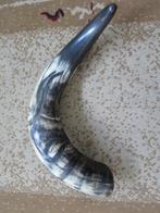 mooie grote echte hoorn 38 cm, Ophalen of Verzenden