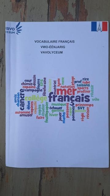 VAVO Lyceum Frans lesboeken beschikbaar voor biedingen