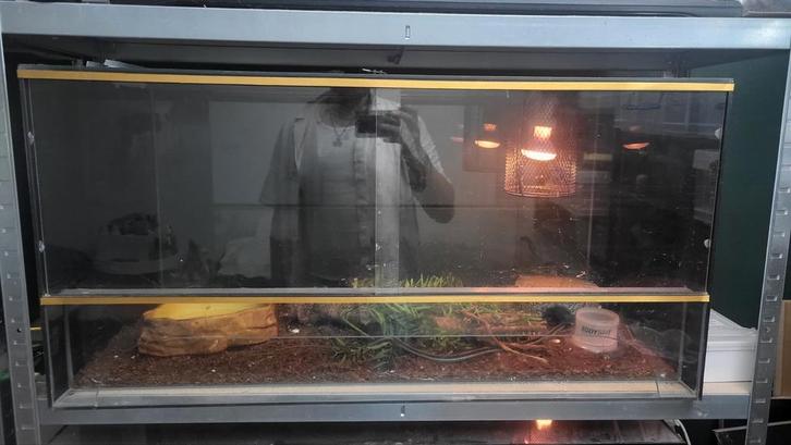 Terrariums 100x50x50, Dieren en Toebehoren, Reptielen en Amfibieën | Toebehoren, Zo goed als nieuw, Terrarium of Paludarium, Ophalen