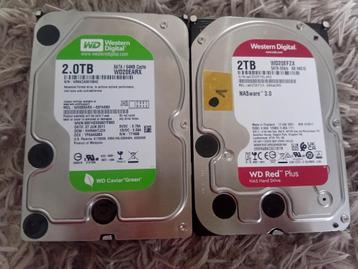  2x harde schijf nas  western digital 2.0 tb  beschikbaar voor biedingen