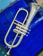 Althoorns en bugels en baritons, Muziek en Instrumenten, Blaasinstrumenten | Overige, Ophalen, Gebruikt, Koperblazer, Met koffer of draagtas