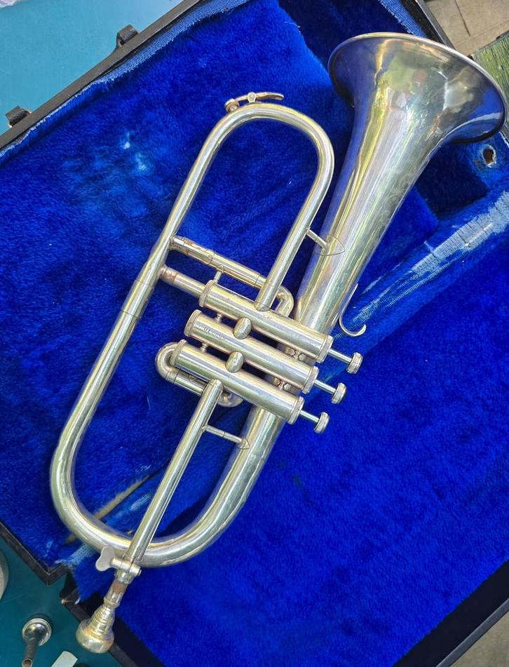 Althoorns en bugels en baritons, Muziek en Instrumenten, Blaasinstrumenten | Overige, Gebruikt, Koperblazer, Met koffer of draagtas