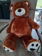 Grote Bruine Knuffelbeer, Ophalen of Verzenden, Nieuw, Beer