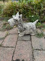 Tuinbeeld Hond - Terrier (wit), Ophalen of Verzenden, Zo goed als nieuw, Beton, Dierenbeeld
