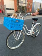 Fiets excl hondje en blauw krat, Ophalen of Verzenden, Gebruikt