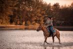 TER LEASE bomproof Paint ruin, Dieren en Toebehoren, Stalling en Weidegang, 1 paard of pony