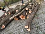 Wilg eiken hout haardhout hoofddorp, Tuin en Terras, Haardhout, 6 m³ of meer, Ophalen of Verzenden, Overige houtsoorten, Stammen