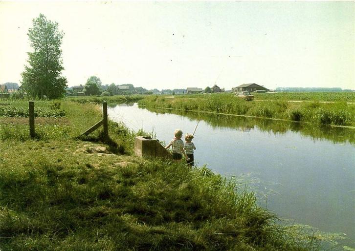 Zetten, De Linge. - vissende kinderen - 1982 gelopen, Verzamelen, Ansichtkaarten | Nederland, Ongelopen, Gelderland, Voor 1920
