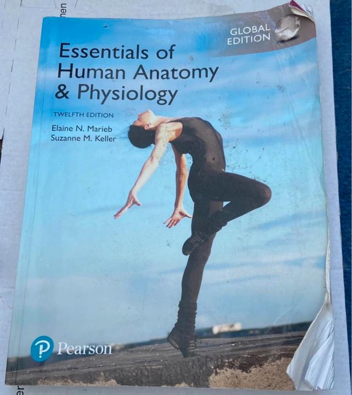Essentials of Human Anatomy & Physiology - Marieb/Keller, Boeken, Studieboeken en Cursussen, Gelezen, Ophalen of Verzenden