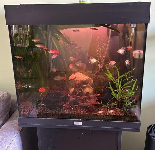 Aquarium 120 L, Dieren en Toebehoren, Vissen | Aquaria en Toebehoren, Zo goed als nieuw, Leeg aquarium, Ophalen of Verzenden