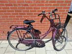 Paarse Batavus fiets, Ophalen, Gebruikt, Batavus.